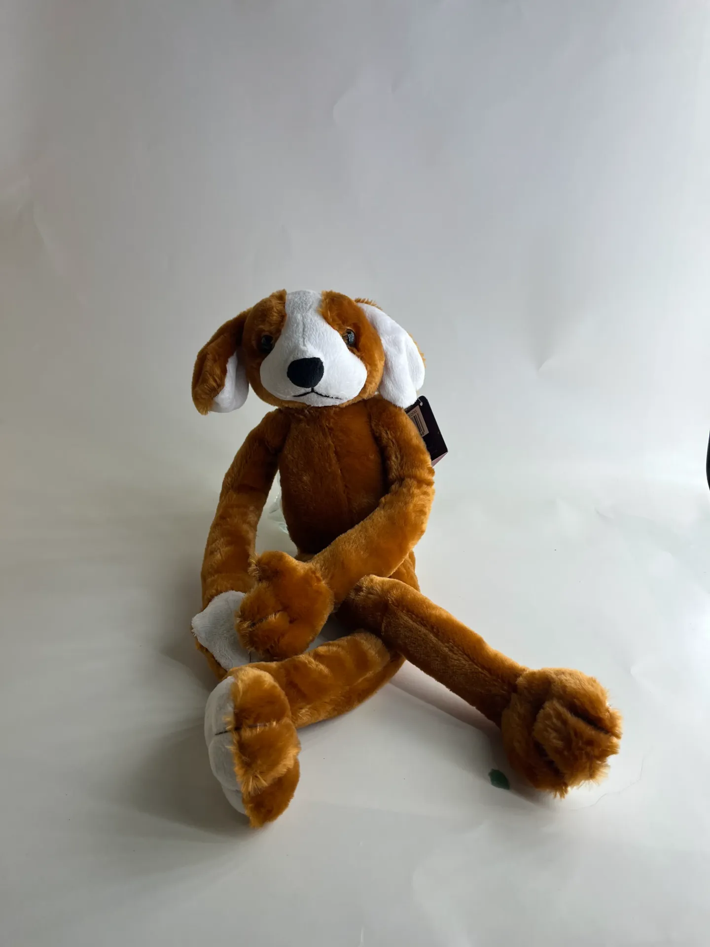 Star Gifts Grad Plushes (Dog)